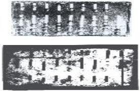 roman hand-abacus