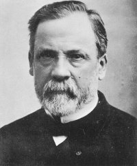 Louis Pasteur Directed Drawing 