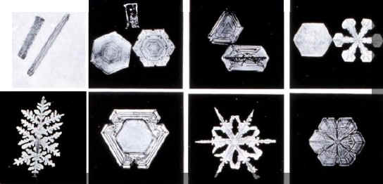 snowflakes3.jpg (37193 bytes)