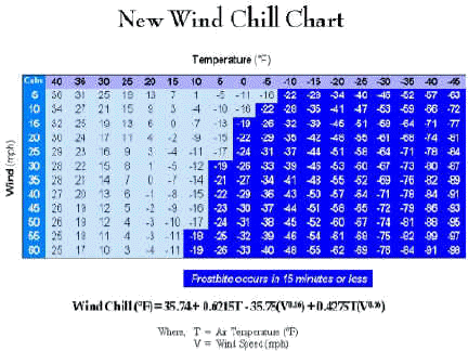 wpe6D.jpg (10112 bytes)